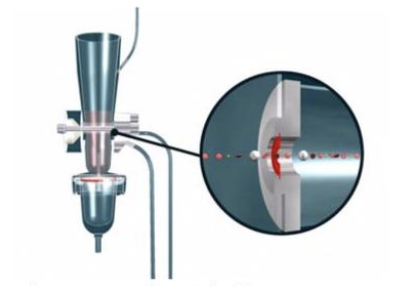 Fixation step image